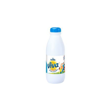 LAIT 1/2E BP 1L VIVA