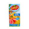 Banga Multi. allege 2L