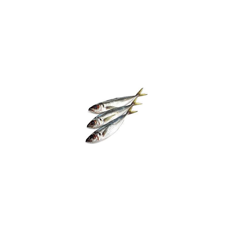 Chinchard 5/7 900gr