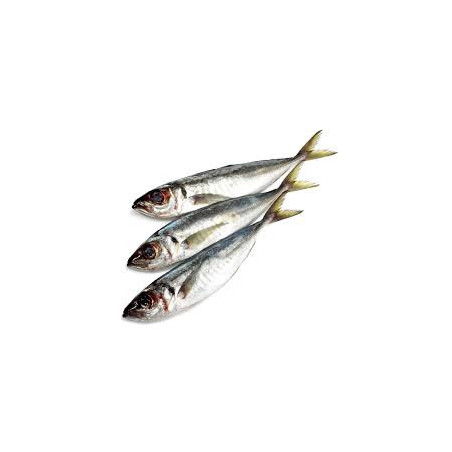 Chinchard 5/7 900gr