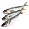 Chinchard 5/7 900gr