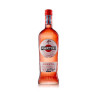 Martini Fiero Rose 1L