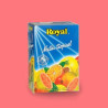 Royal NECT BIB 5L Cock Tropical