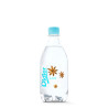 Didier anis 50cl