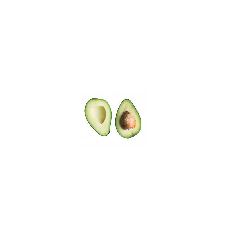 avocat kg