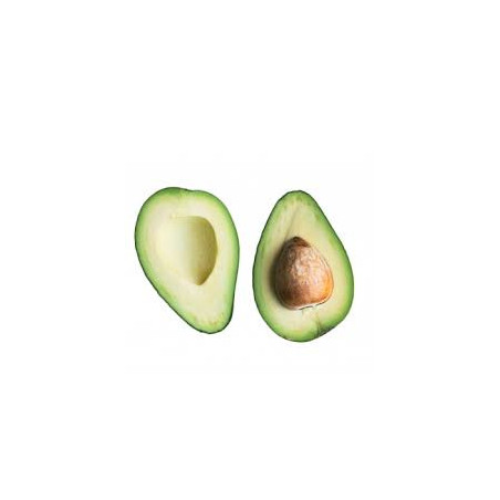 avocat kg