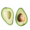 avocat kg