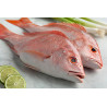 Vivaneau 3/4 1LB ST 1,5K Guyane