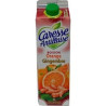 Caresse Antillaise nectar 1L Orange gingembre