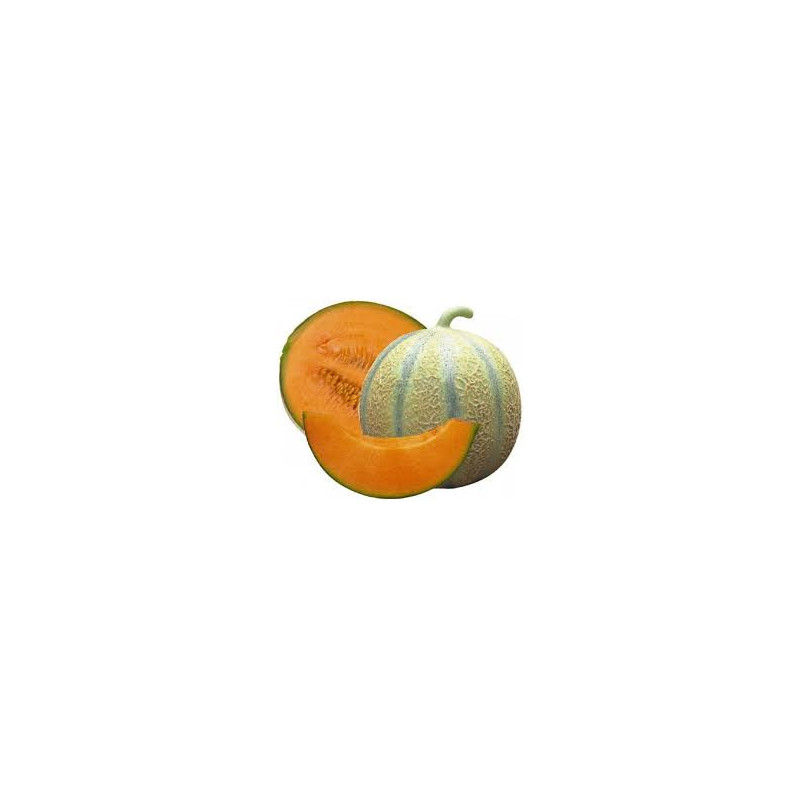 MELON