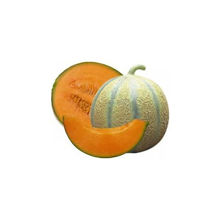 MELON