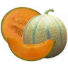 MELON