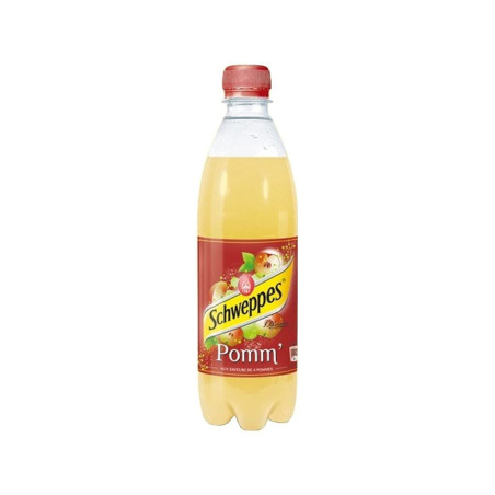 Schweppes Pomme 50 CL